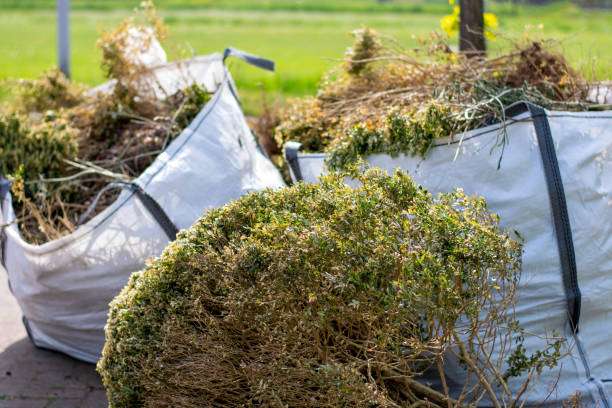 Best Professional Junk Removal  in Hanford, CA